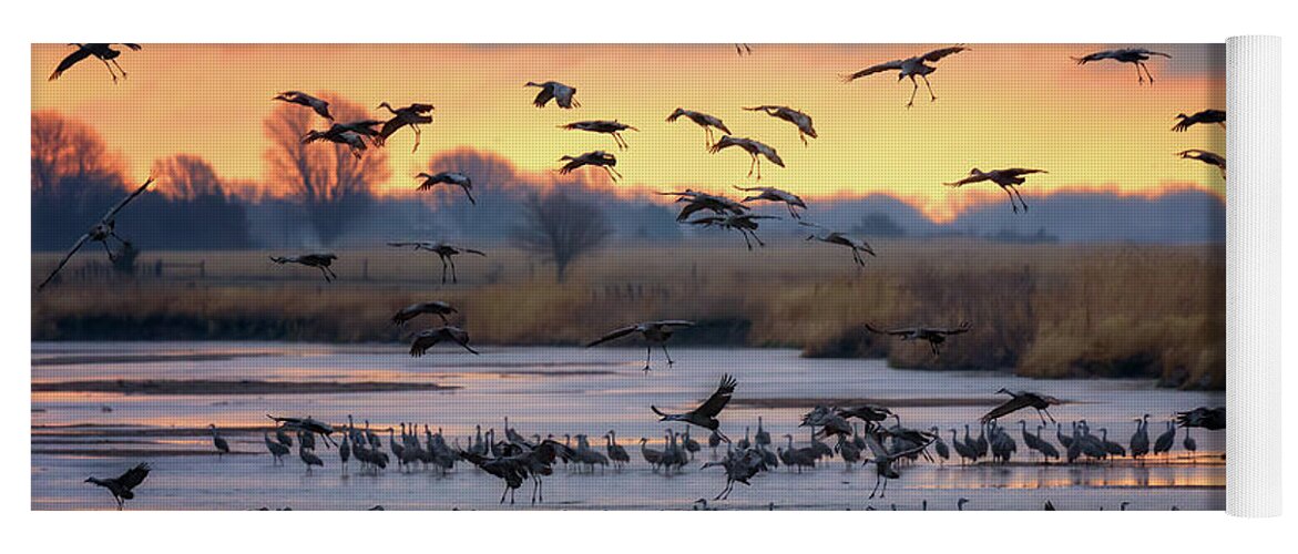 Sandhill Cranes Yoga Mat featuring the photograph Final Approach by Susan Rissi Tregoning