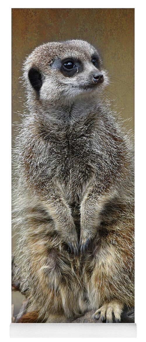 Meerkat Yoga Mat featuring the photograph Fine Art Meerkat on the lookout by Gareth Parkes