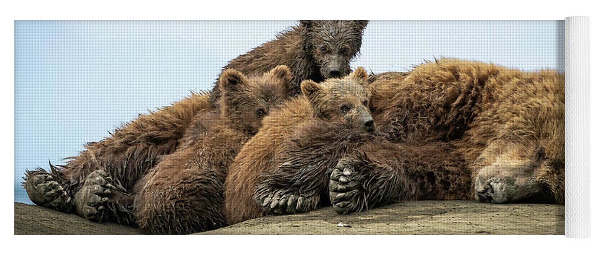 Grizzly Yoga Mat featuring the photograph Finishing Up a Nap by Laura Hedien