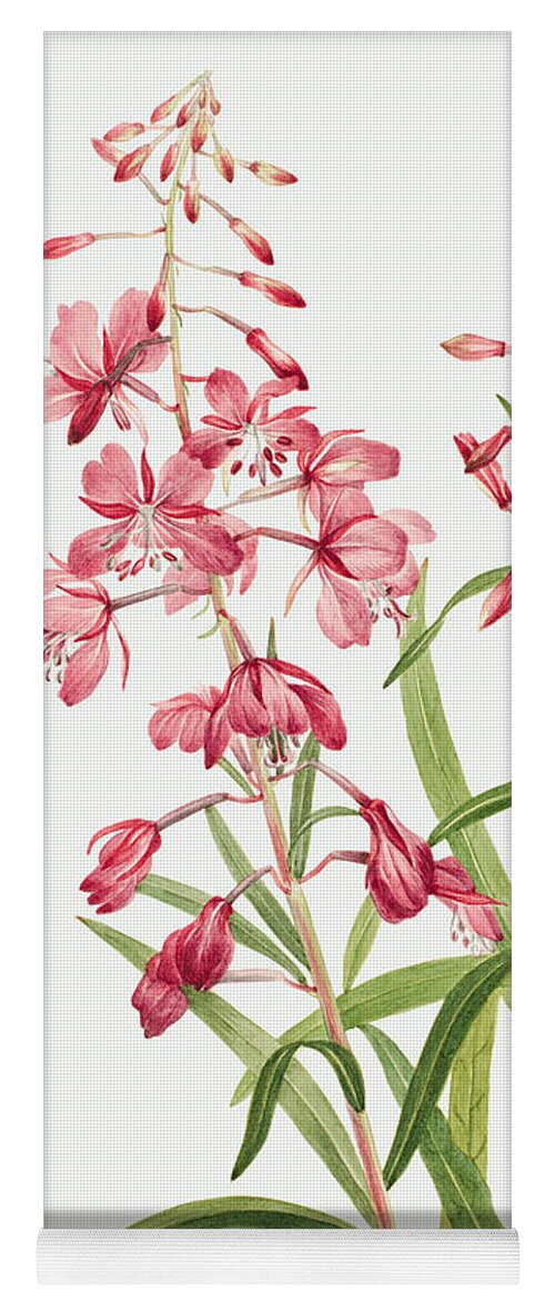 Fireweed Yoga Mat featuring the painting Fireweed Flowers by World Art Collective