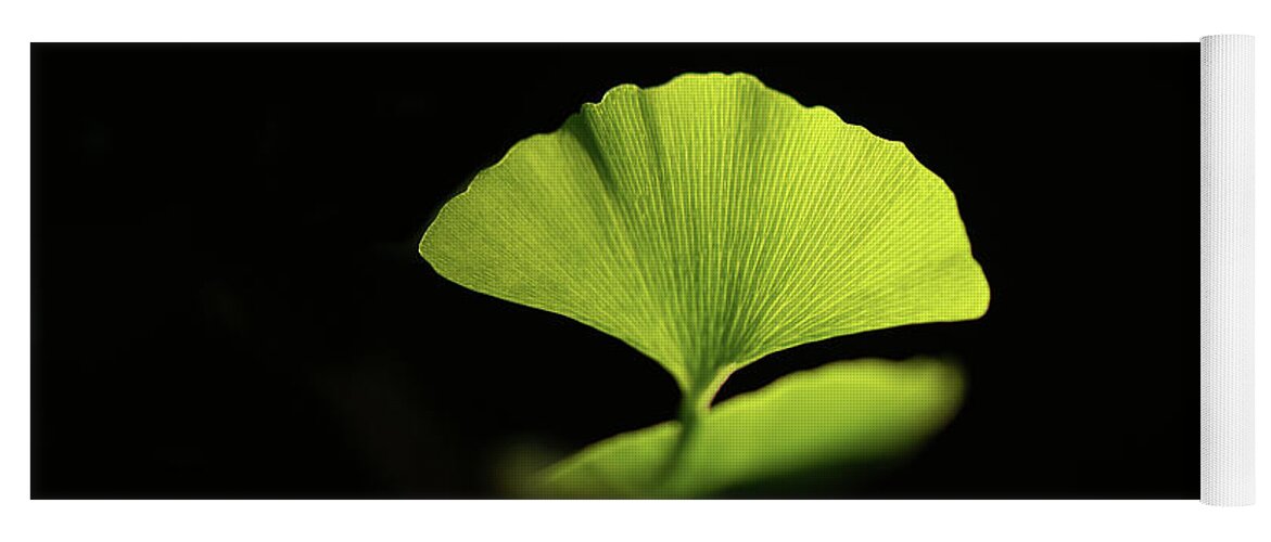 Leaves Yoga Mat featuring the photograph First Ginkgo Leaf by Philippe Sainte-Laudy