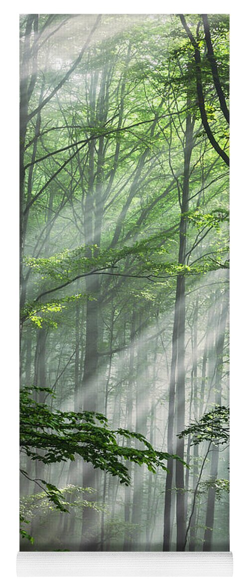 Fog Yoga Mat featuring the photograph Fleeting Beams by Evgeni Dinev