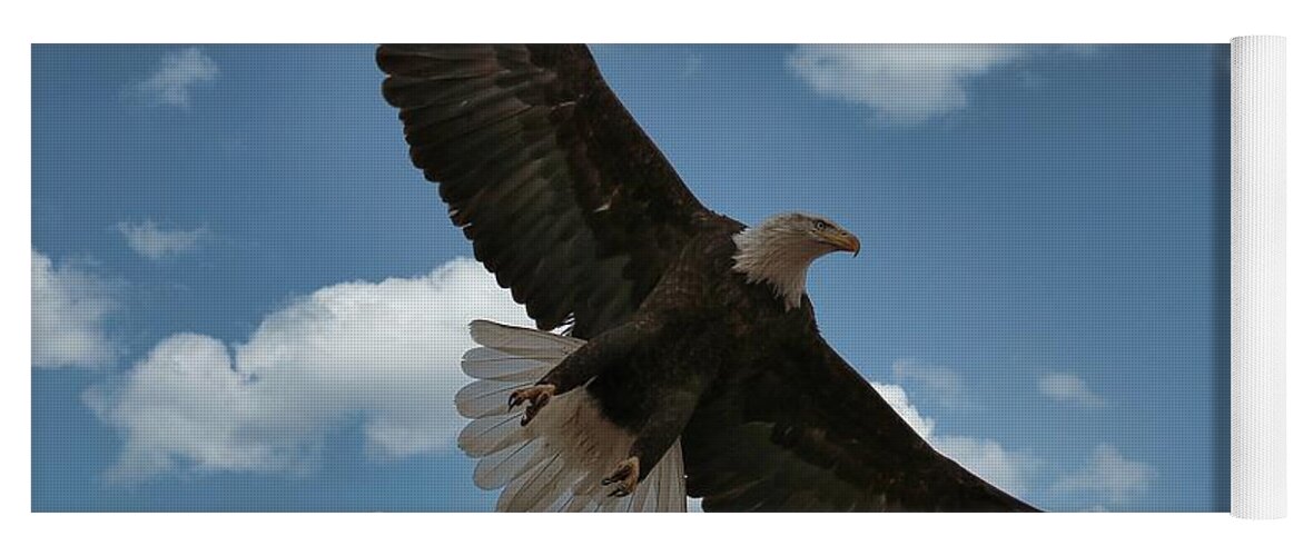 Eagle Yoga Mat featuring the photograph Flight by Veronica Batterson