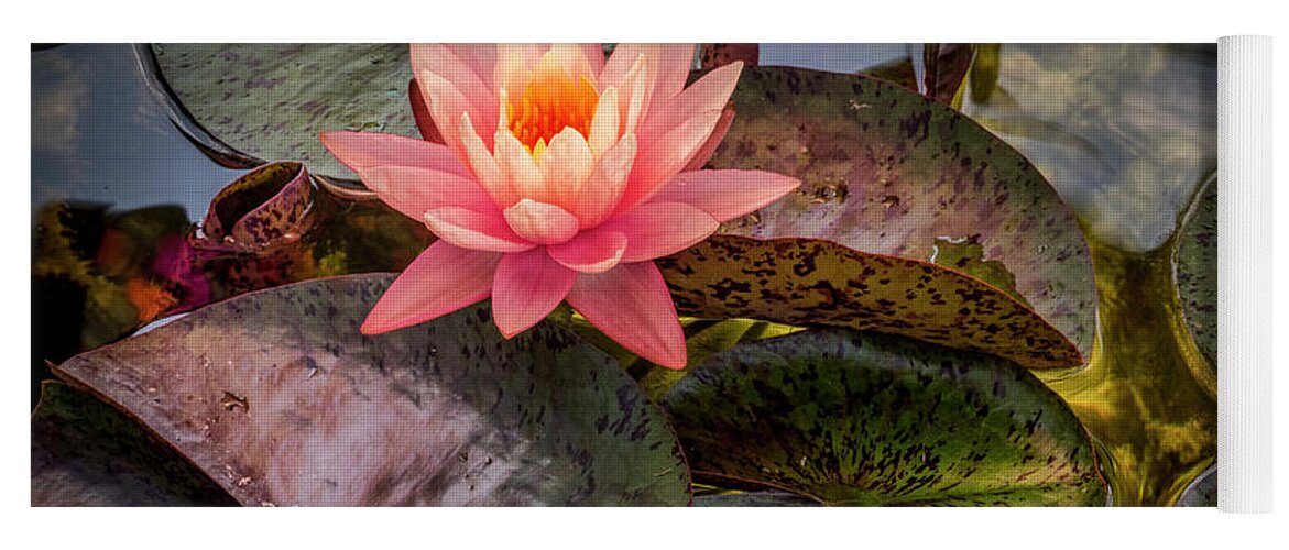 Floral Yoga Mat featuring the photograph Floating Above. by Usha Peddamatham