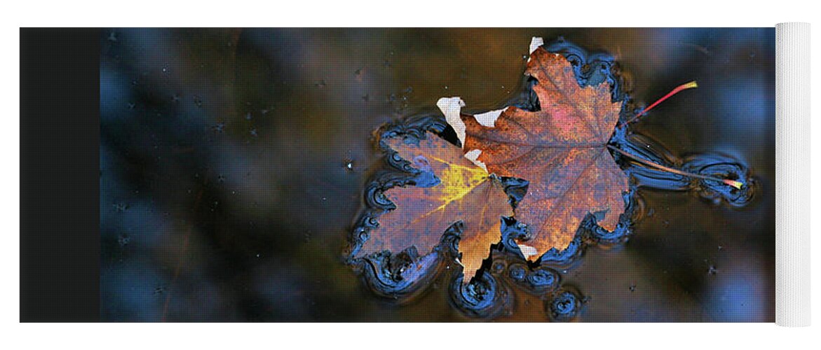 Leaves Yoga Mat featuring the photograph Floating by Patricia Overmoyer