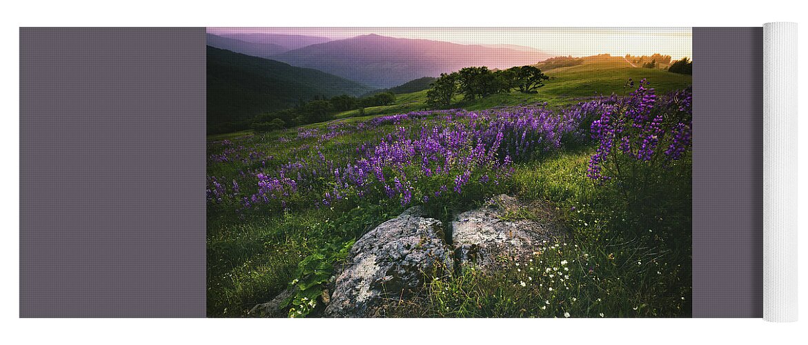 Flower Yoga Mat featuring the photograph Floral Sunset by Jason Roberts