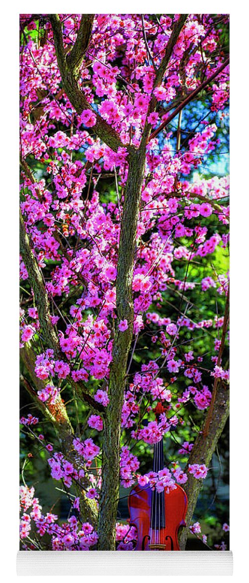 Violin Yoga Mat featuring the photograph Flowering Plum With Violin by Garry Gay