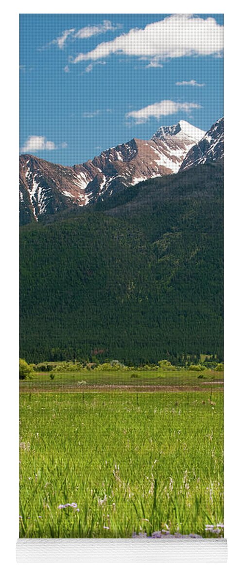 Montana Yoga Mat featuring the photograph Flowers Below Mission Mountains by Tara Krauss