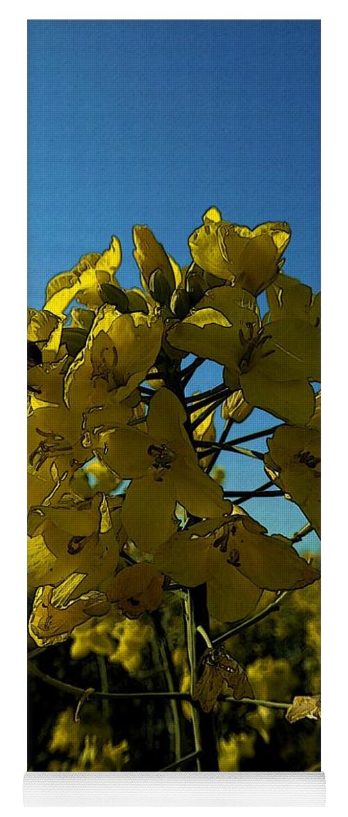 Digital Art Yoga Mat featuring the photograph Flowers of colza 2 by Jean Bernard Roussilhe