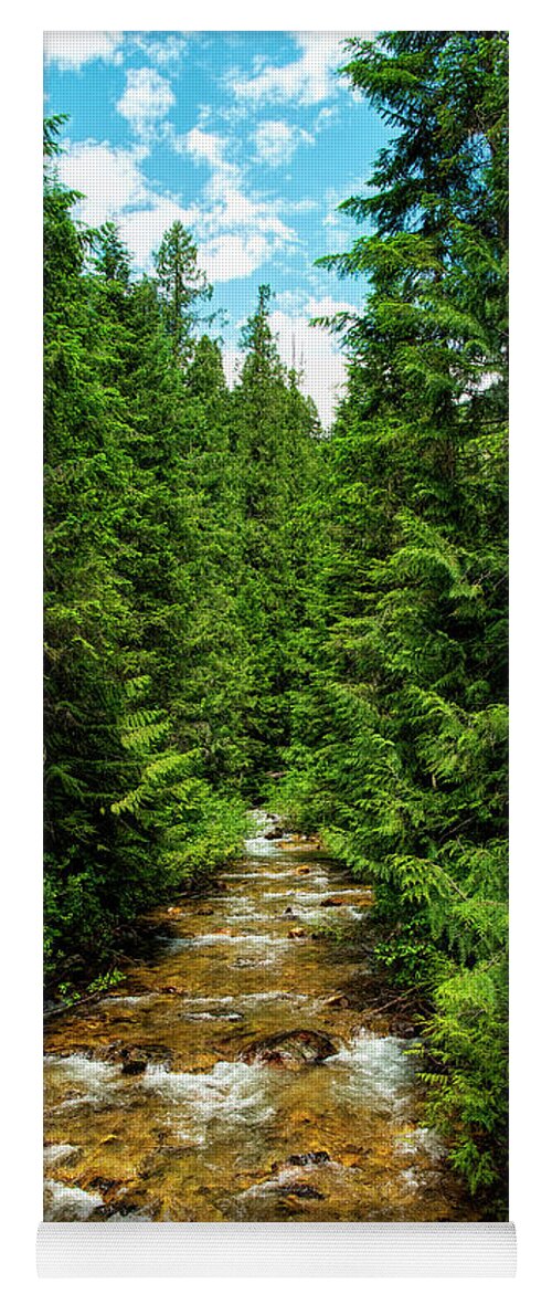 Stream Yoga Mat featuring the photograph Flowing Stream by Pamela Dunn-Parrish