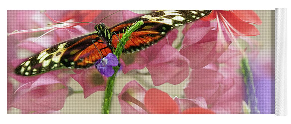 Butterfly Yoga Mat featuring the photograph Flutter for a Day by Marilyn Cornwell