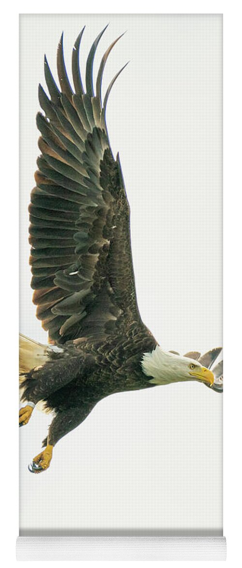2020 Yoga Mat featuring the photograph Fly Like an Eagle by Erin K Images