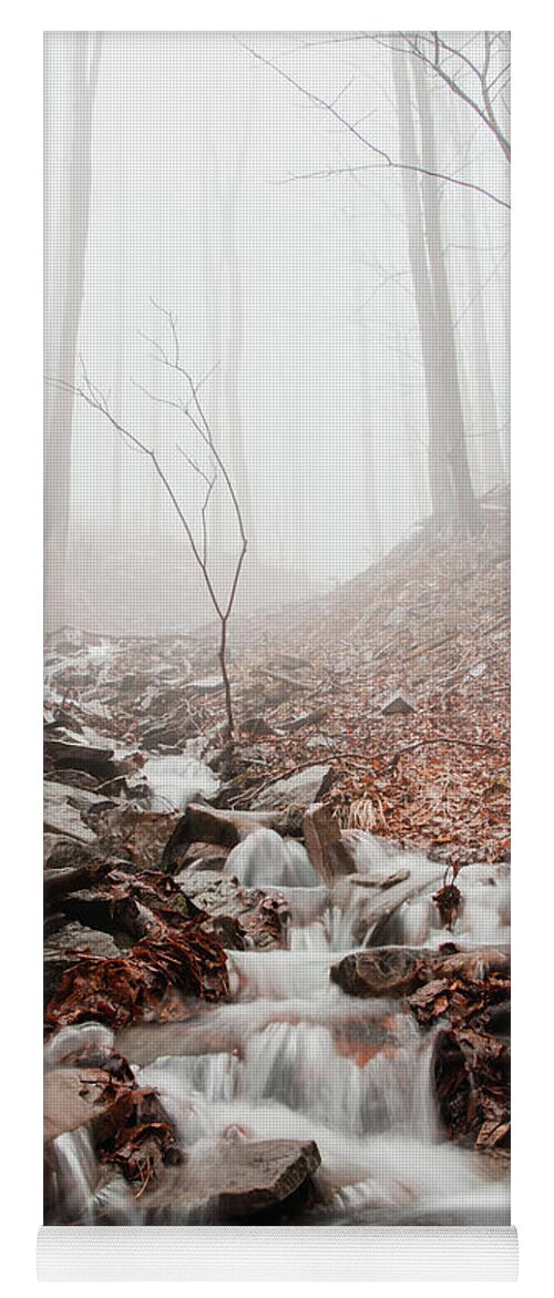 Foggy Yoga Mat featuring the photograph Foggy morning in a deciduous forest by Vaclav Sonnek