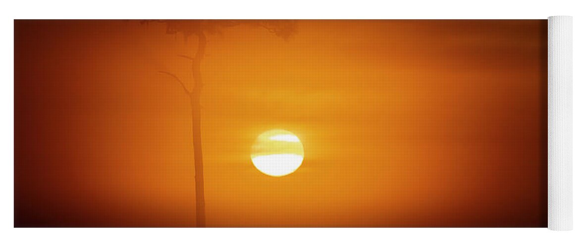 Sun Yoga Mat featuring the photograph Foggy Osceola Sunrise by Tom Claud