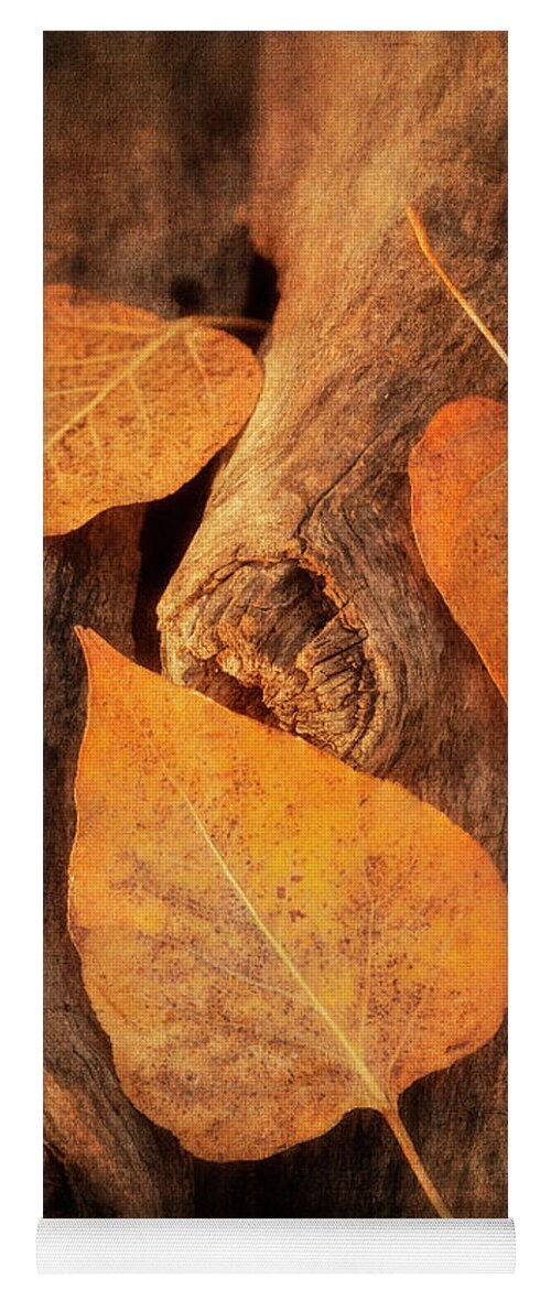 Artistic Yoga Mat featuring the photograph Forest Gold by John Rogers