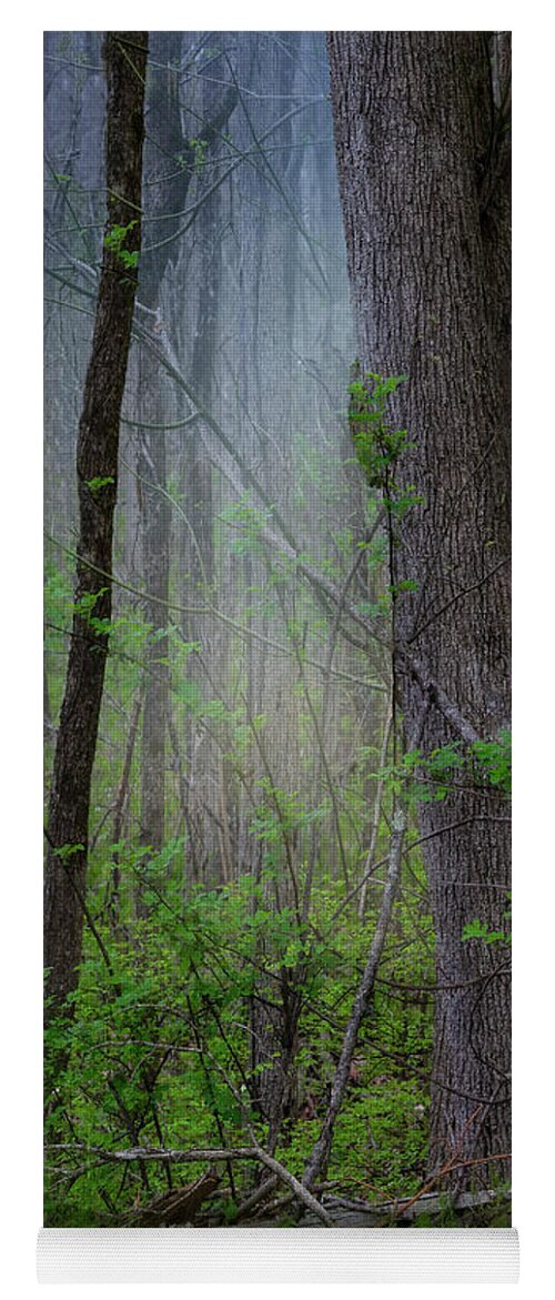 Forest Yoga Mat featuring the photograph Forest Magic by Shelia Hunt