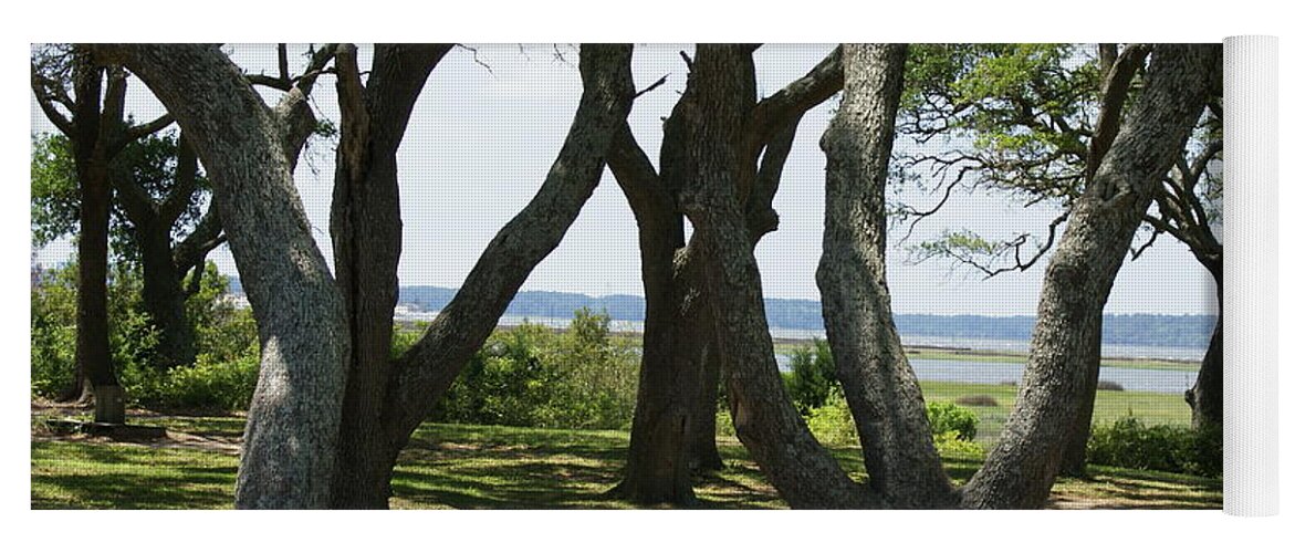  Yoga Mat featuring the photograph Fort Fisher Gnarly Oaks by Heather E Harman