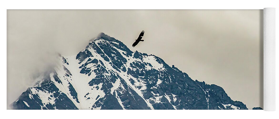 Above Yoga Mat featuring the photograph Free to Soar by Marcy Wielfaert