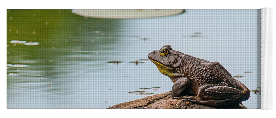 Bullfrog Yoga Mat featuring the photograph Frog Island by Cathy Kovarik