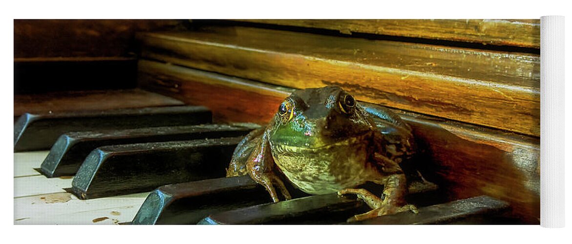 Piano Frog Yoga Mat featuring the photograph Frogtime by Jerry LoFaro