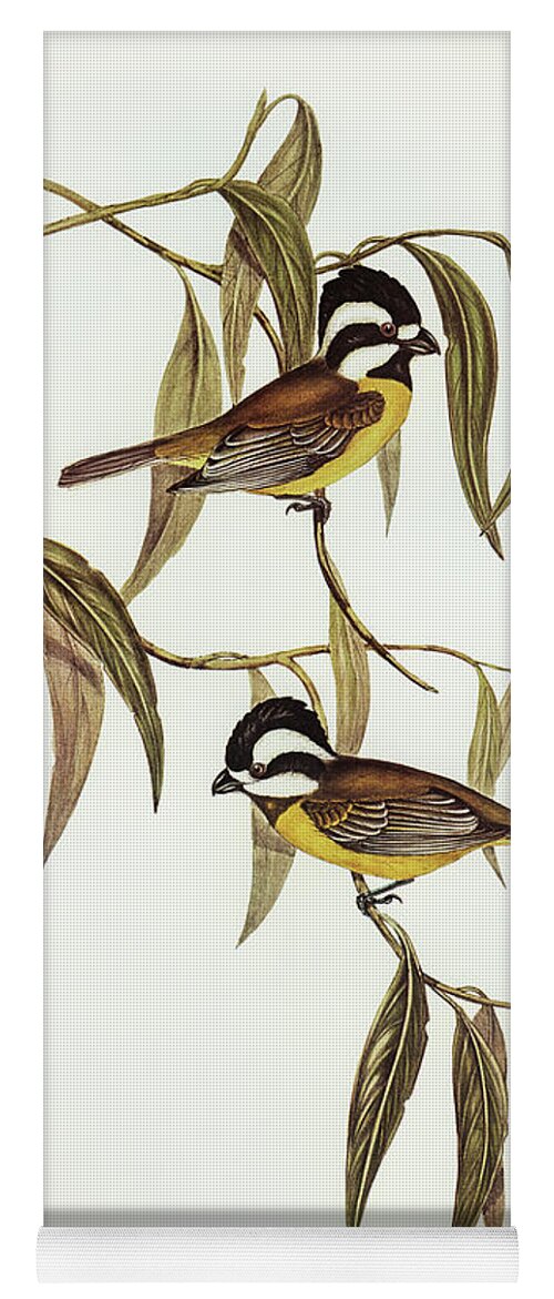 Shrike Yoga Mat featuring the mixed media Frontal Shrike-Tit by World Art Collective