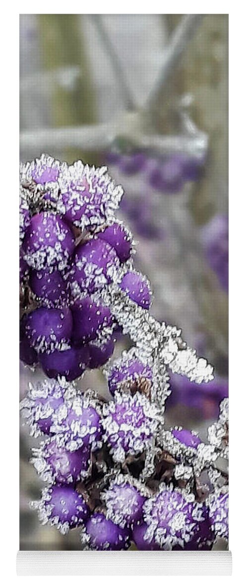 Beautyberry Yoga Mat featuring the photograph Frosted Beautyberry by Nina Ficur Feenan