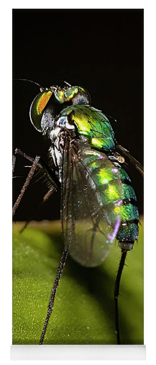 Long Legged Fly Yoga Mat featuring the photograph Garden Fly Prepares For Takeoff by Mark Andrew Thomas