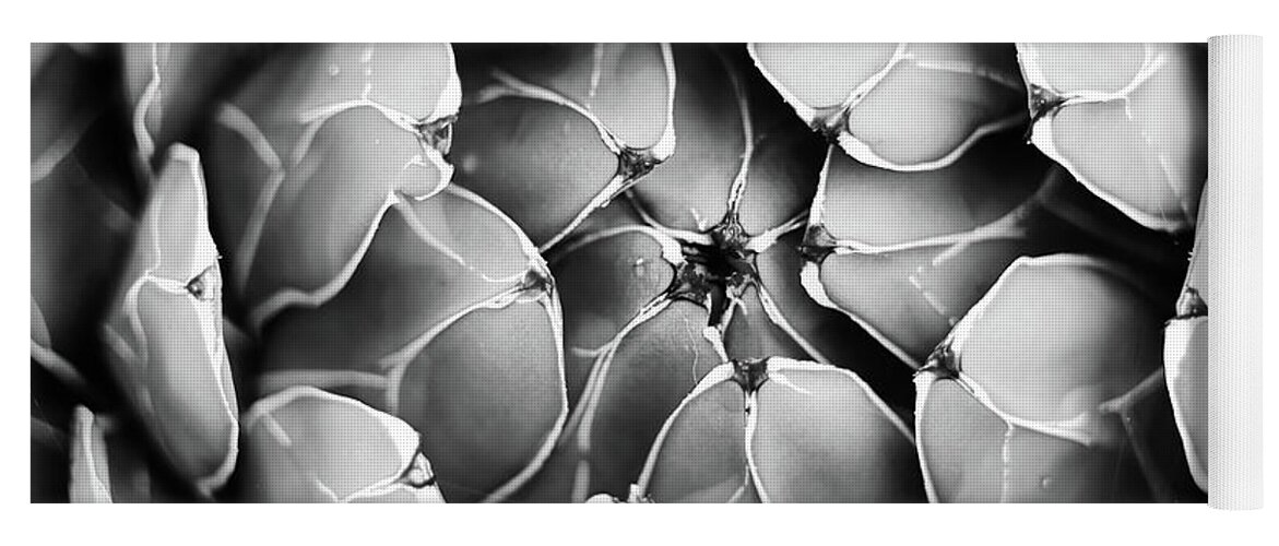 Black Yoga Mat featuring the photograph Garden Succulent Botanicals III Black and White by Debra and Dave Vanderlaan