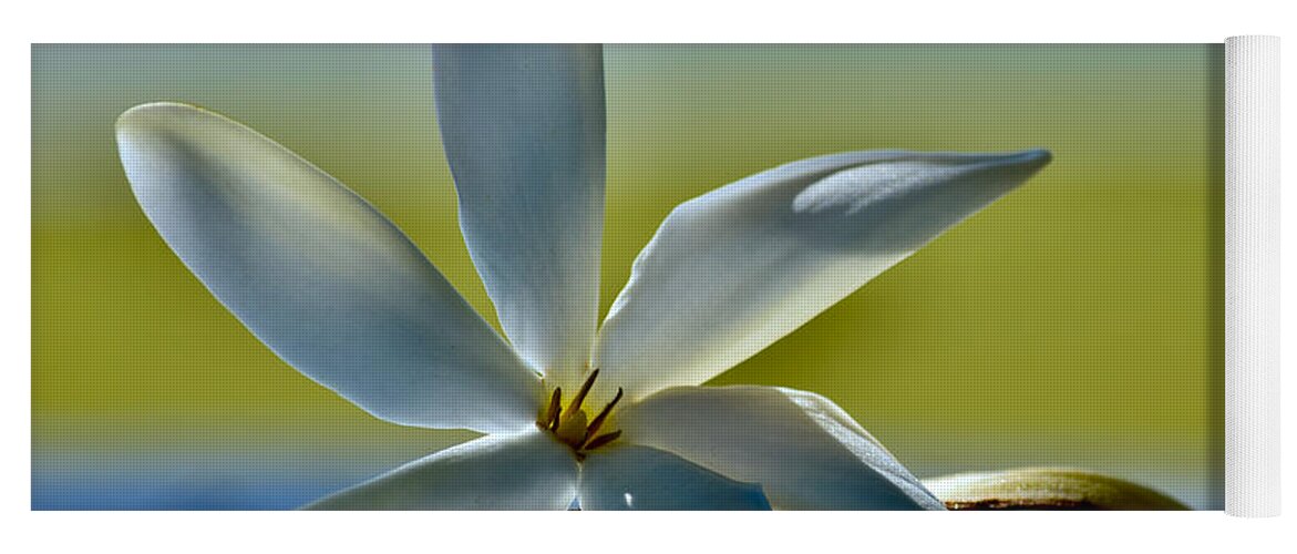  Yoga Mat featuring the photograph Gardenia Pure Love is Aloha by Debra Banks