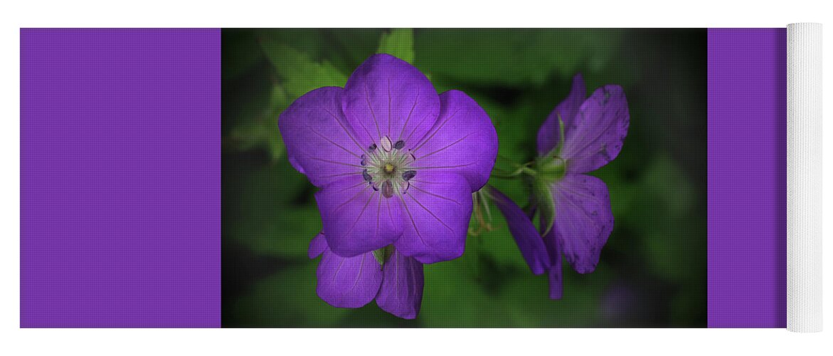 Trail Yoga Mat featuring the photograph Geranium along a Trail in the Smokies by James C Richardson