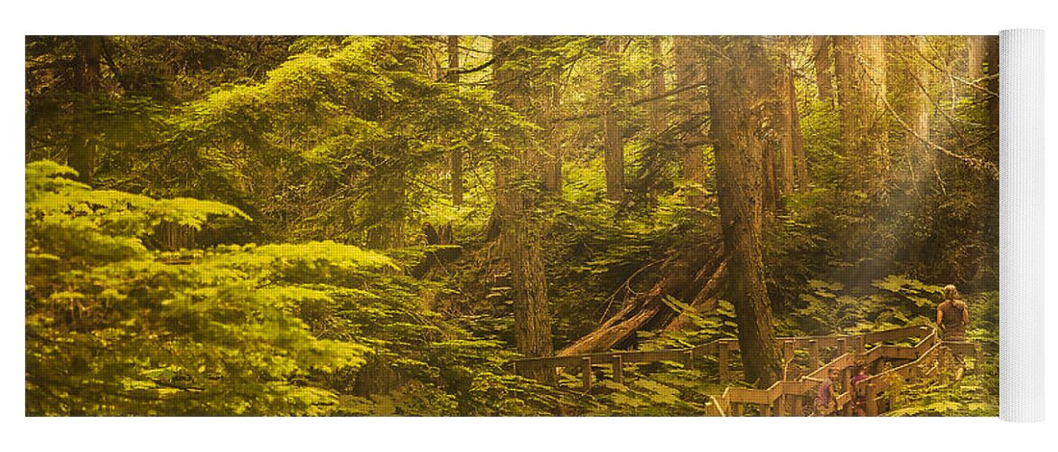 Boardwalk Yoga Mat featuring the photograph Giant Cedars by Phil And Karen Rispin