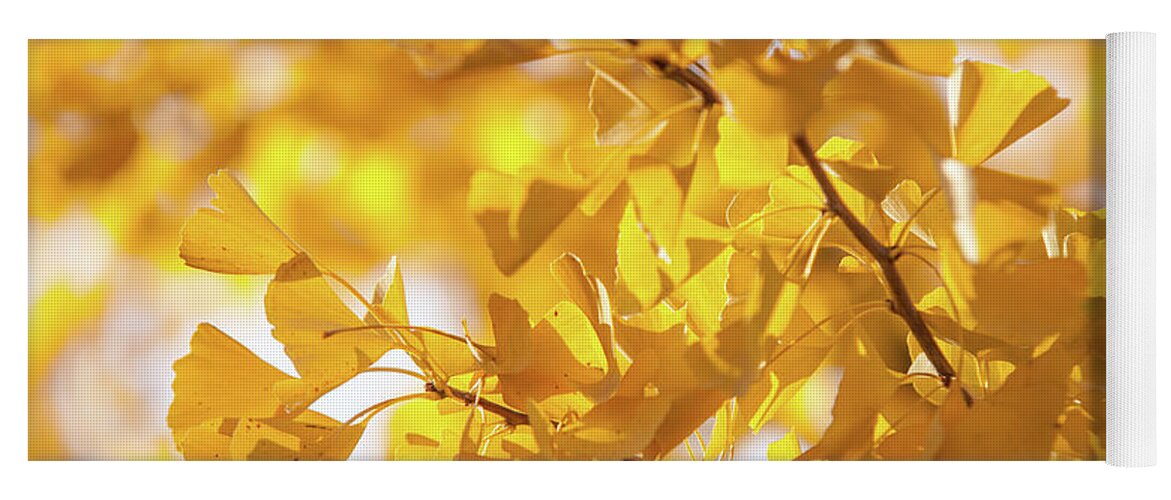 Jenny Rainbow Fine Art Photography Yoga Mat featuring the photograph Ginko Biloba Yellow Leaves by Jenny Rainbow