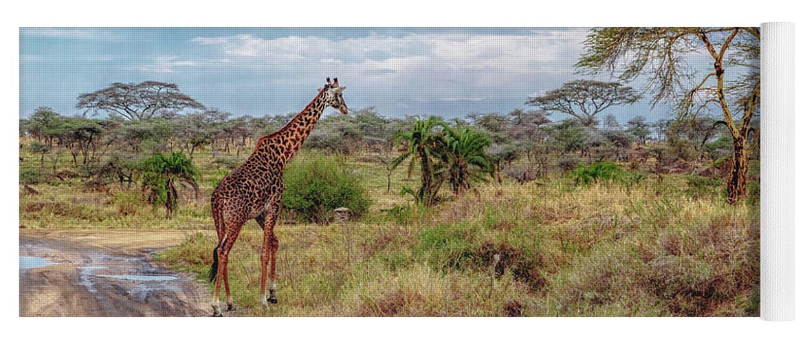Africa Yoga Mat featuring the photograph Giraffe in Serengeti Plains by Lev Kaytsner