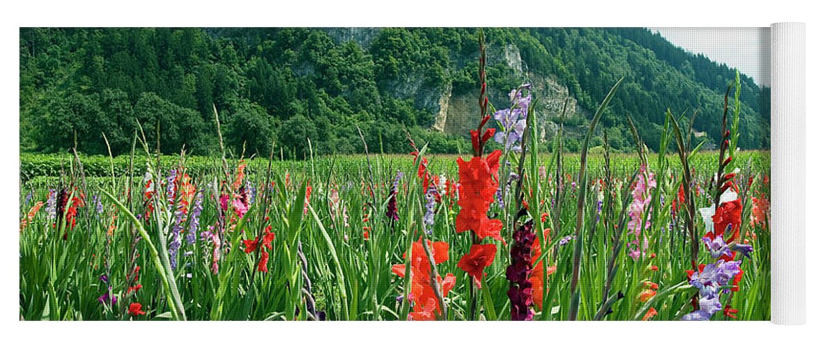 Purple Yoga Mat featuring the photograph Gladiolus Fields by Paolo Signorini