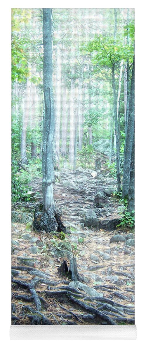 Sugarloaf Mountain Yoga Mat featuring the photograph Glowing Forest Trail by Phil Perkins