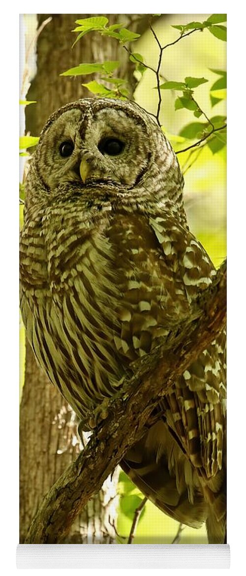 Owl Portrait Yoga Mat featuring the photograph Goddess of greenery by Heather King