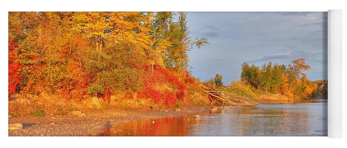 Autumn Yoga Mat featuring the photograph Gold on the River by Jim Sauchyn