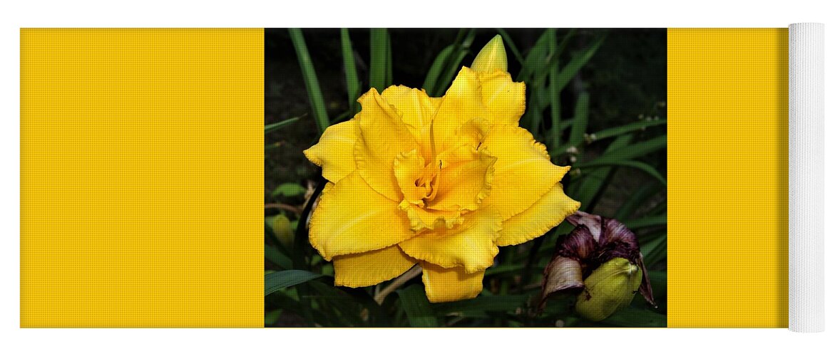 Flower Yoga Mat featuring the photograph Gold Ruffled Day Lily by Nancy Ayanna Wyatt