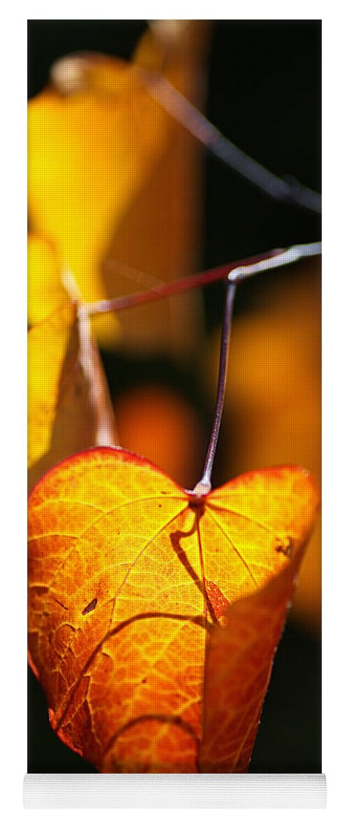 Golden Autumn Leaves Yoga Mat featuring the photograph Golden Autumn Leaves by Joy Watson