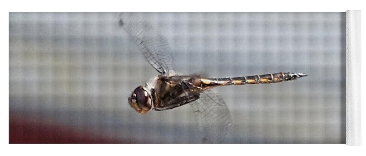 Nature Yoga Mat featuring the photograph Golden Dragonfly Flying Up Close by Russel Considine