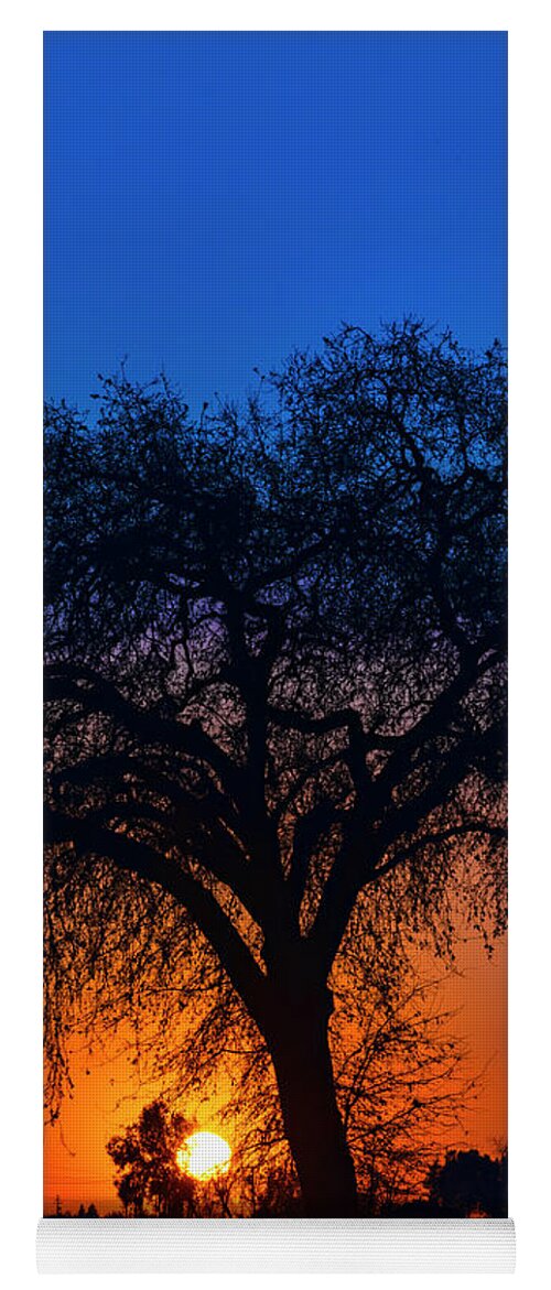 Sunset Silhouette Yoga Mat featuring the photograph Golden Glow by Dan McGeorge