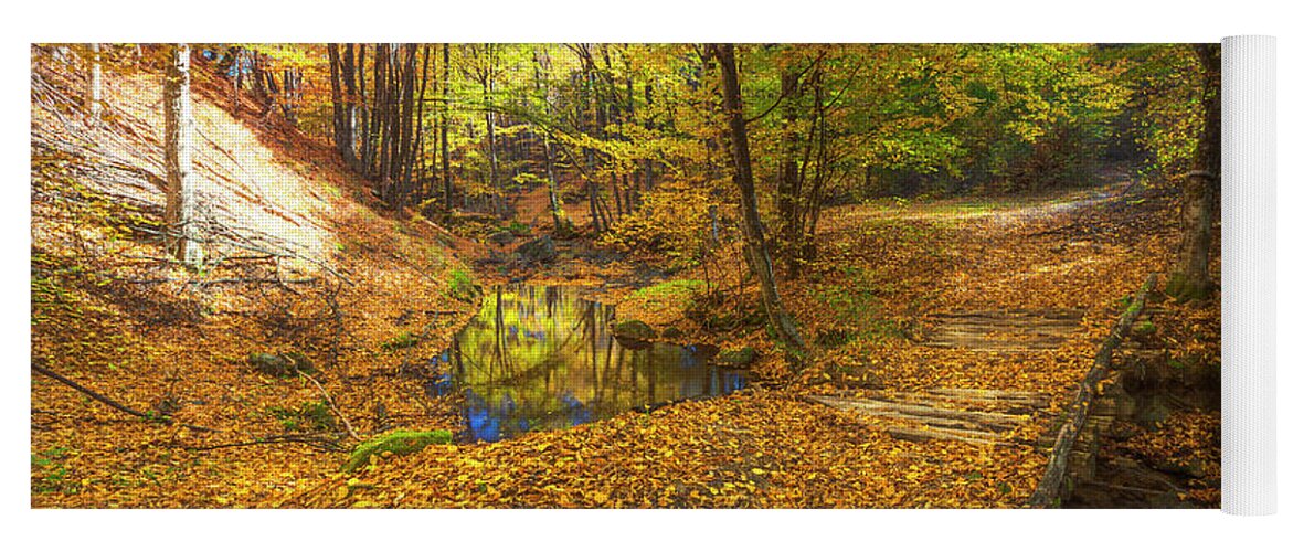 Bulgaria Yoga Mat featuring the photograph Golden River by Evgeni Dinev
