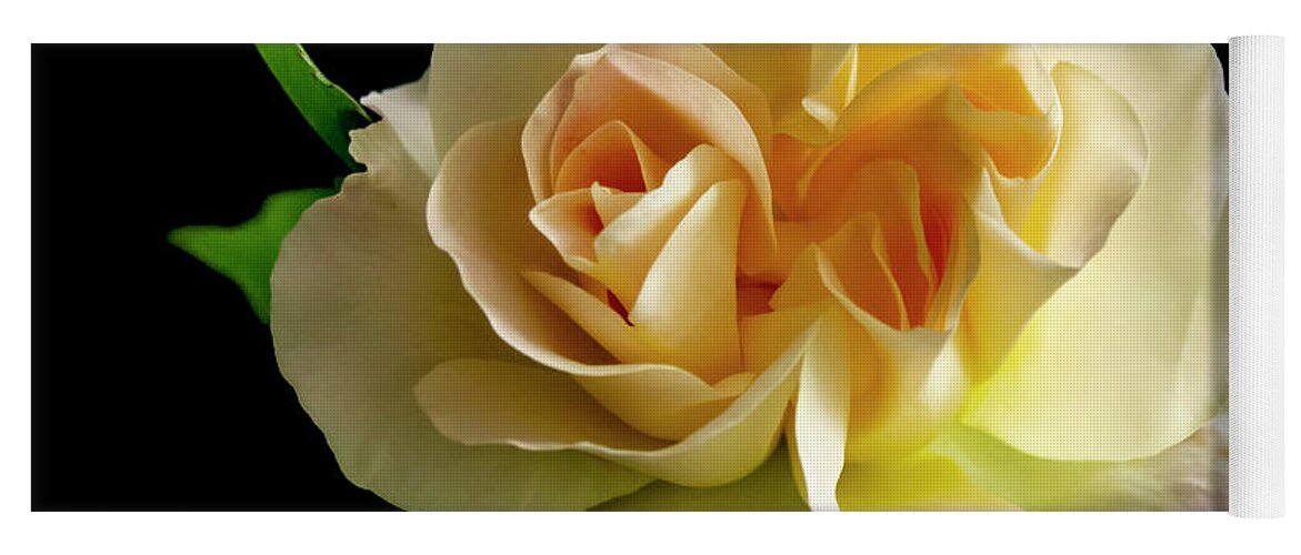 Flower Yoga Mat featuring the photograph Golden Rose by Cathy Kovarik