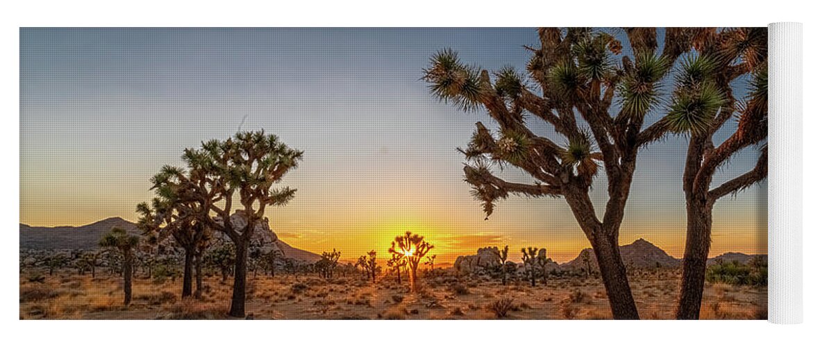 California Yoga Mat featuring the photograph Goodnight Joshua Tree by Peter Tellone