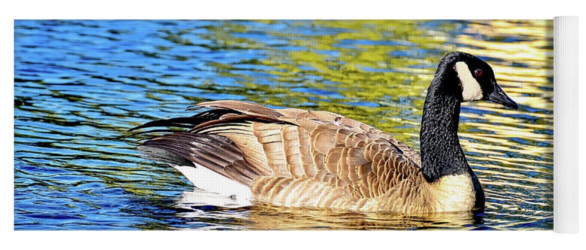 Sun Yoga Mat featuring the photograph Goose and Sun Reflections by David Lawson