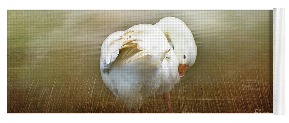 Goose Yoga Mat featuring the photograph Goose with an Itch by Elaine Teague