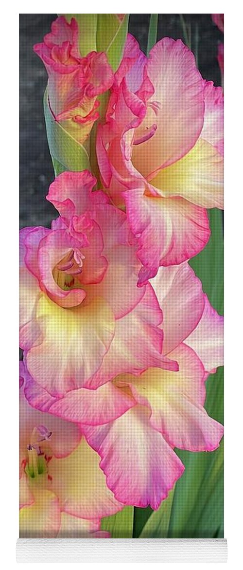 Glads Yoga Mat featuring the photograph Gorgeous Glads by Carol Groenen