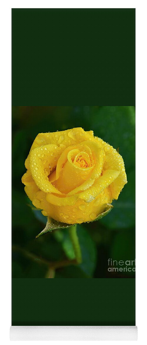 Gorgeous Misty Yellow Rose Yoga Mat featuring the photograph Gorgeous Misty Yellow Rose by Patrick Witz