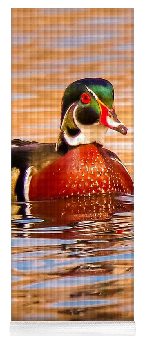 Duck Yoga Mat featuring the photograph Gorgeous Wood Duck by Susan Rydberg