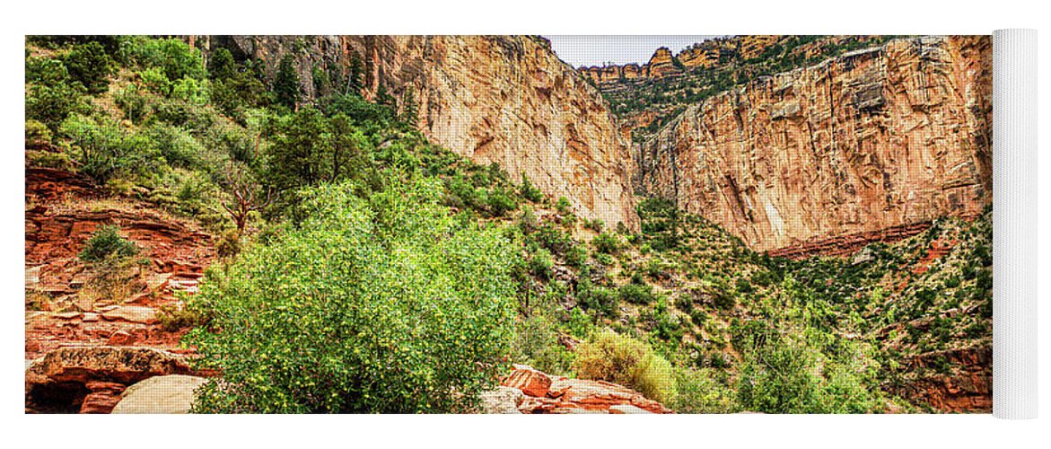 Grand Canyon Yoga Mat featuring the photograph Grand Canyon Bright Angel Trail by Aydin Gulec